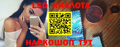 крисы Моздок