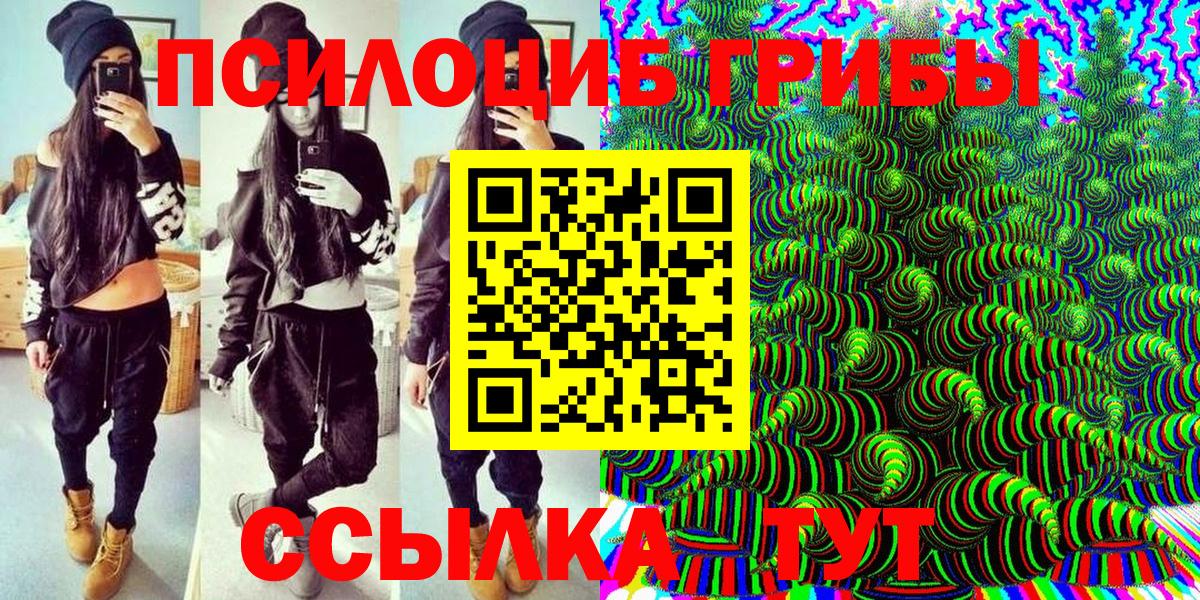 Торжок  Галлюциногенные грибы Cubensis  Вход с VPN 